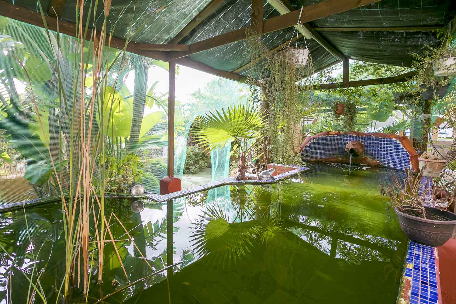 Estanque de agua en una villa en Ibiza